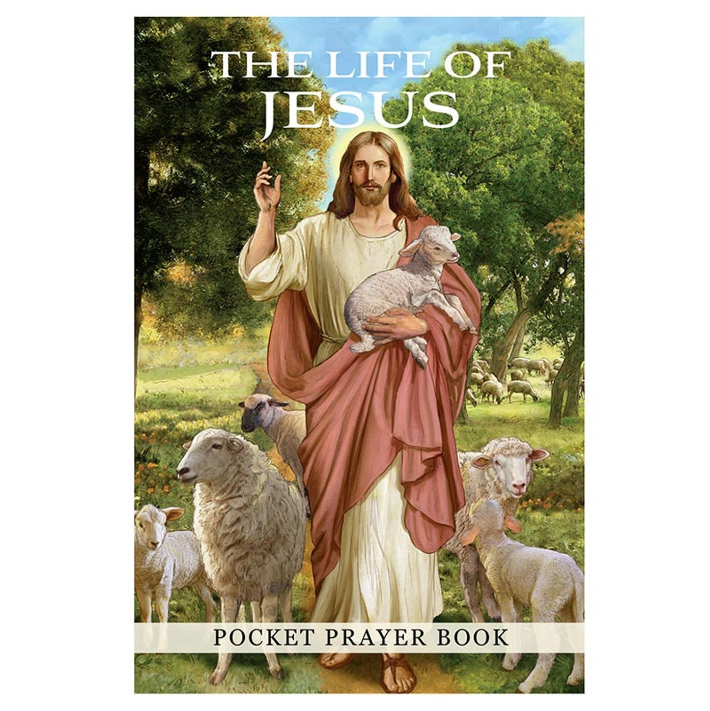 Life Of Jesus