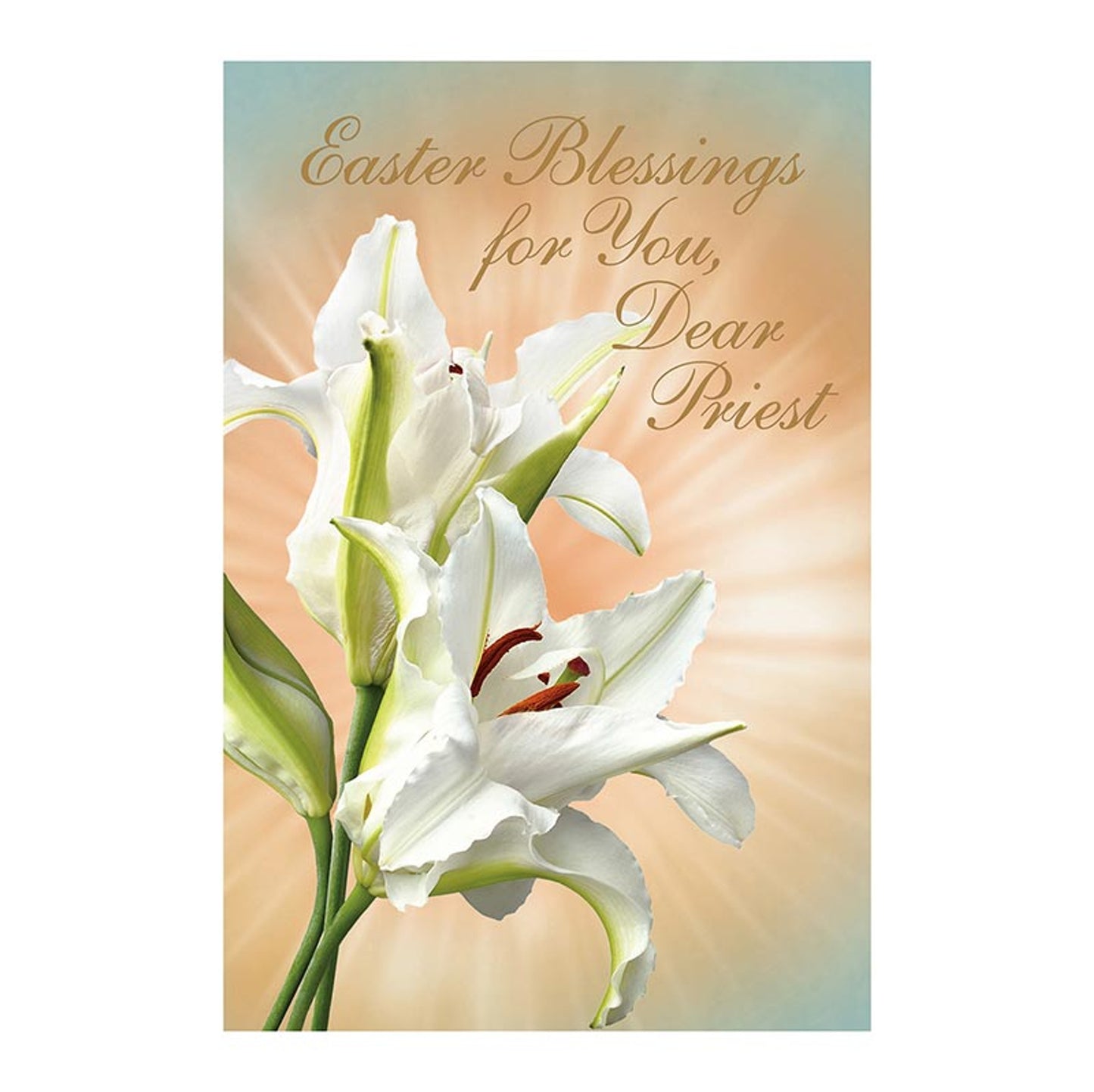 Greeting Card - Easter Blessings, Priest (N0248)