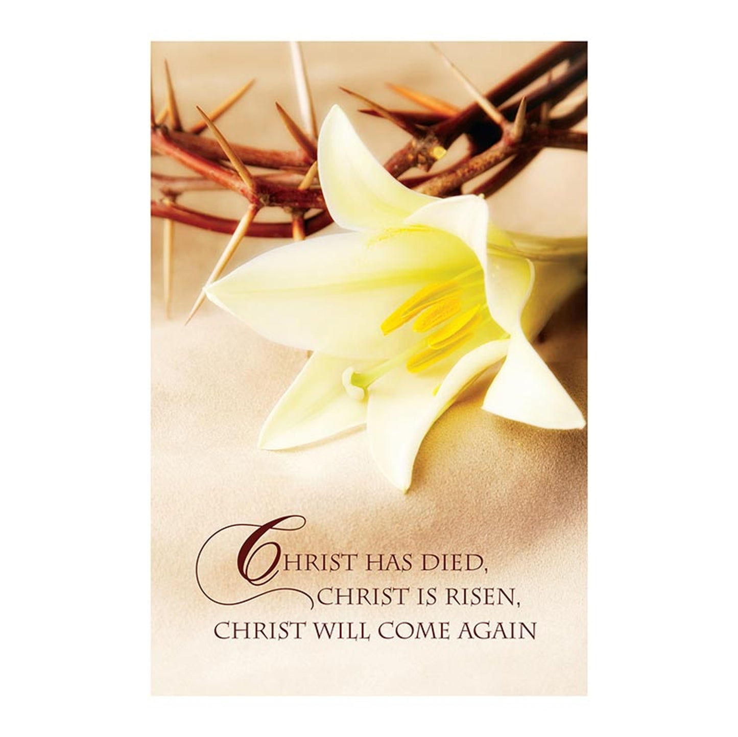 Note Card - Easter Lily & Crown of Thorn - 12 pack
