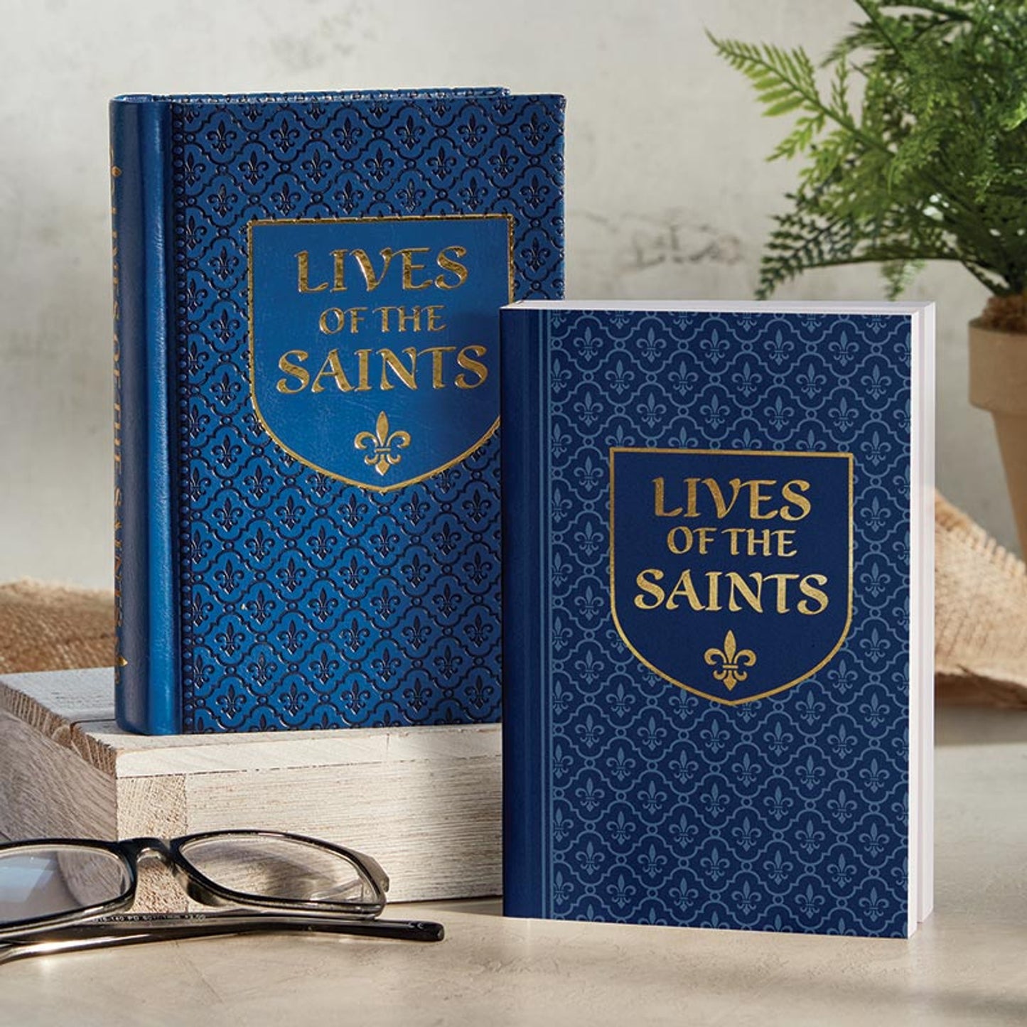 Lives of The Saints - Paperback