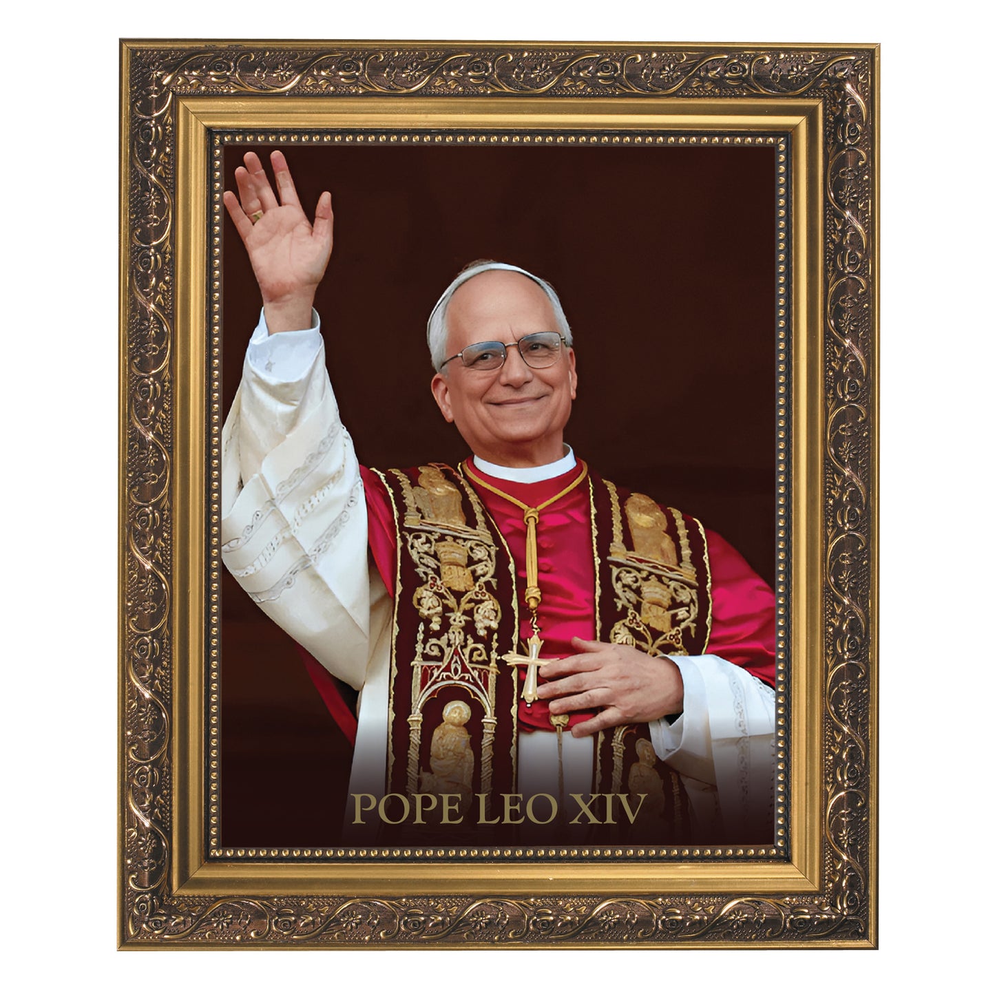 Pope Leo Framed Print
