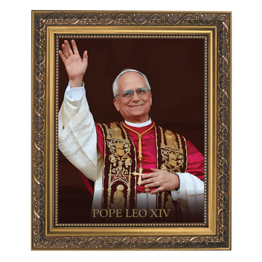 Pope Leo Framed Print