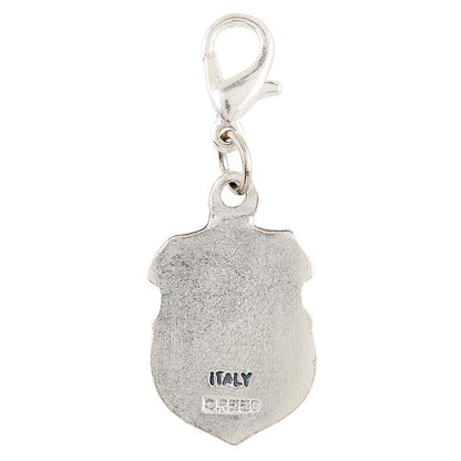 Clip on medal - Saint Michael