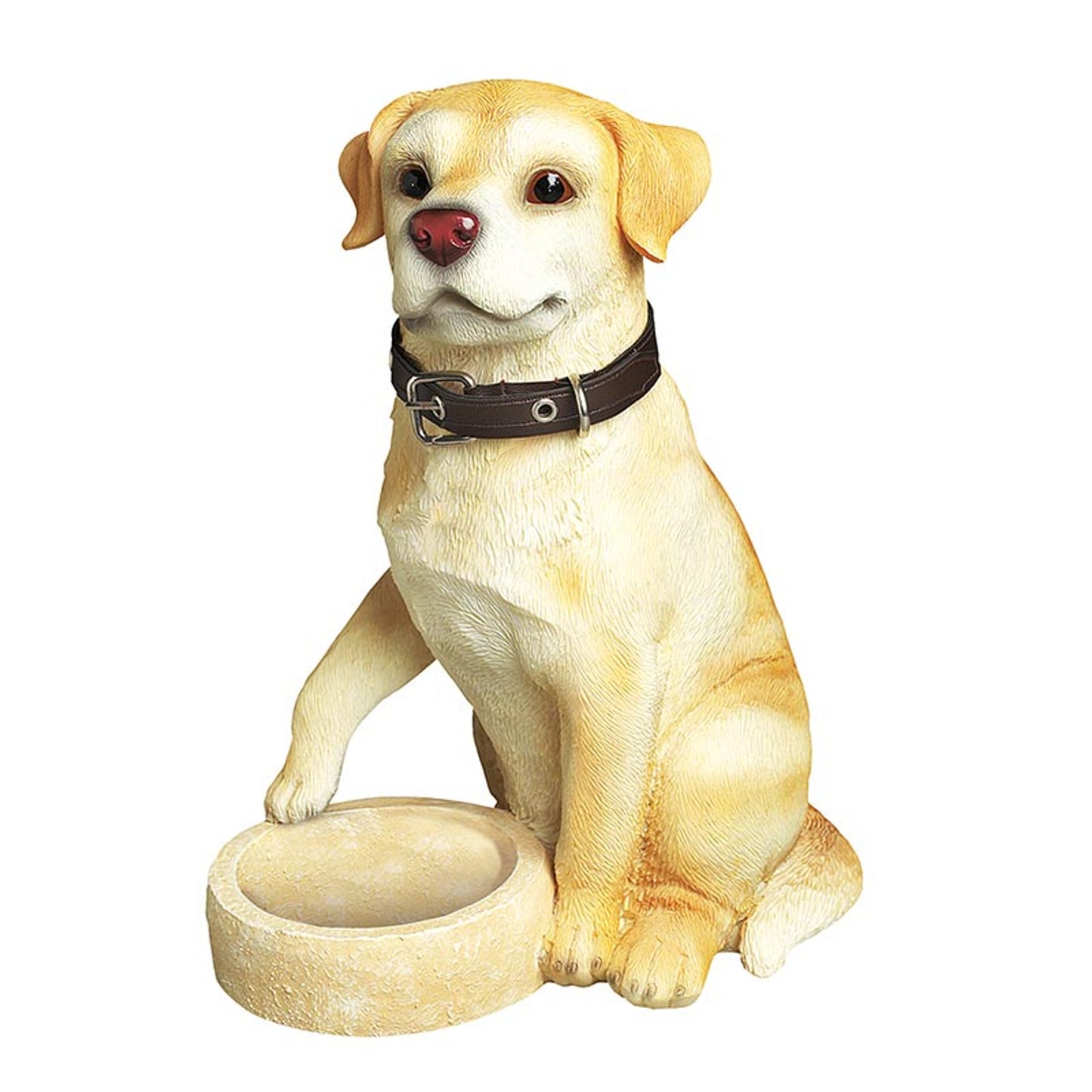 Dog Pet Medal Display