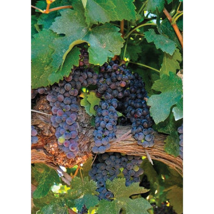 Aquinas Press Prayer Book - Serenity Prayer Book