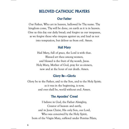 Aquinas Press My Favorite Catholic Chaplets