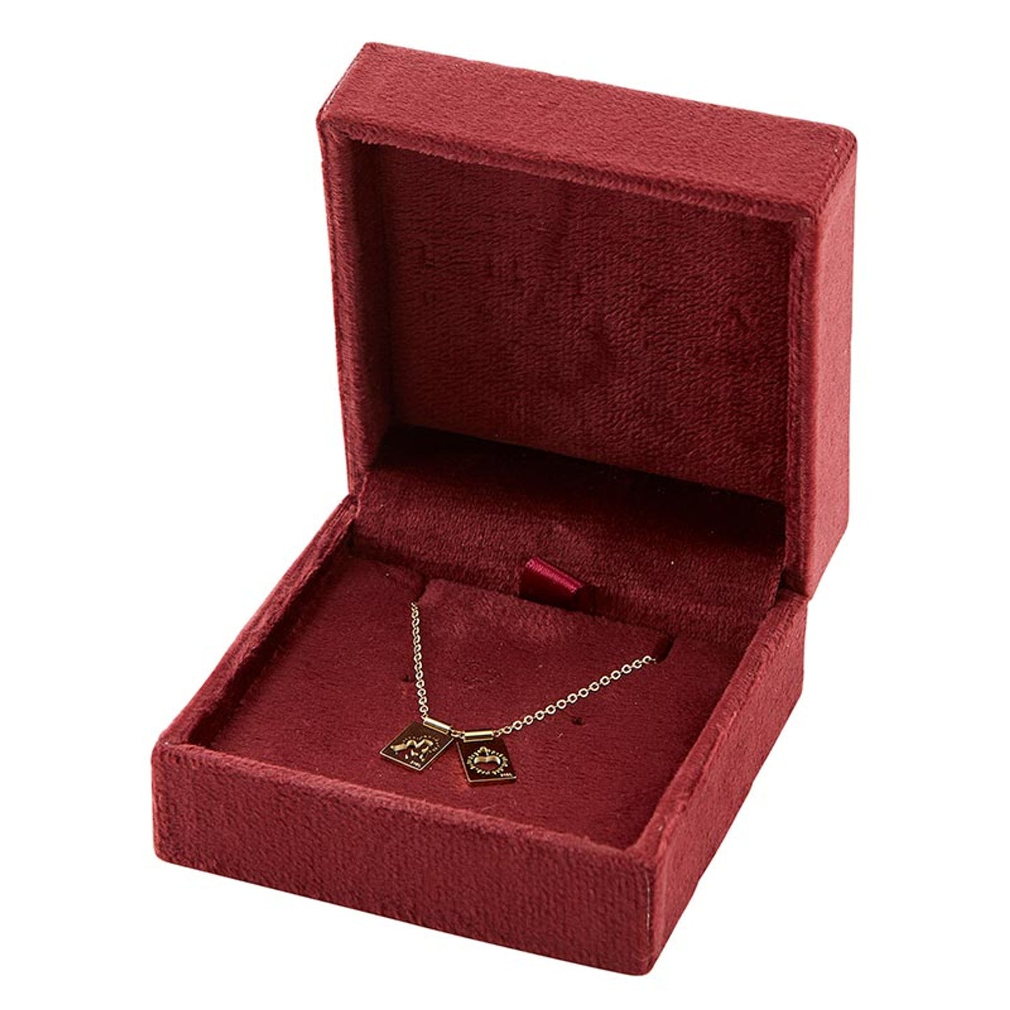 Mother and Sacred Heart Mini Scapular Necklace