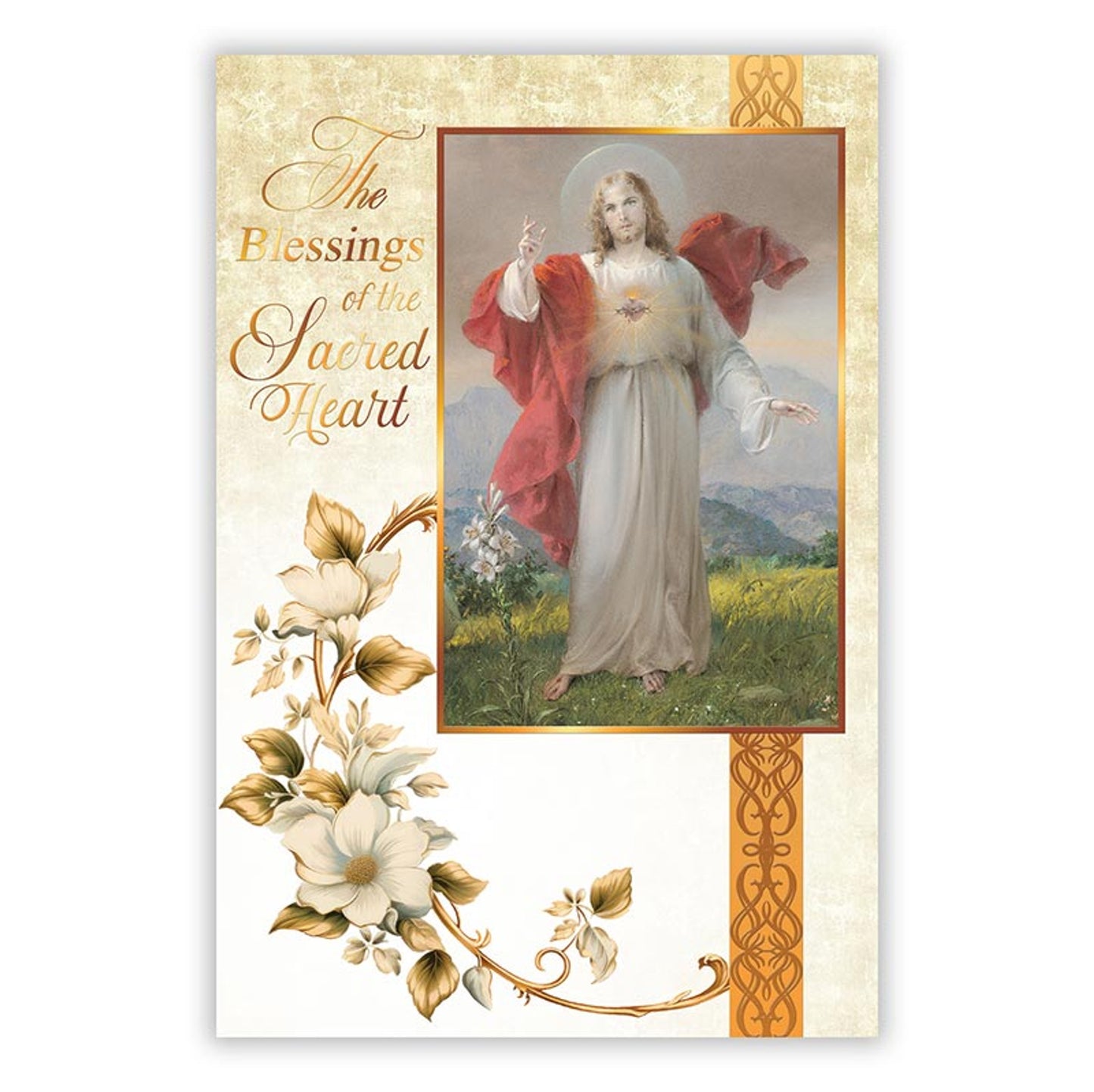 The Blessings of the Sacred Heart - Get Well Booklet