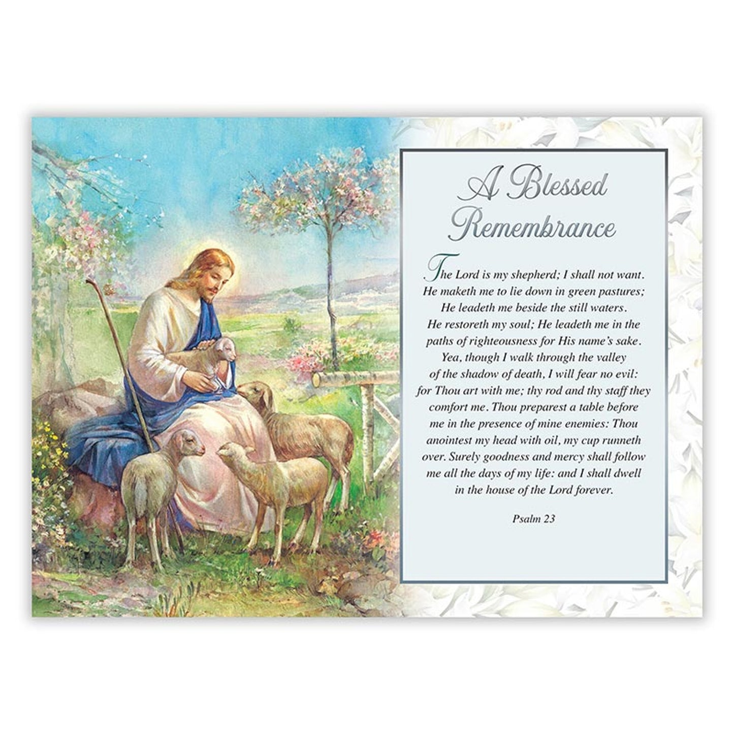 In Loving Memory - Sympathy Booklet - White