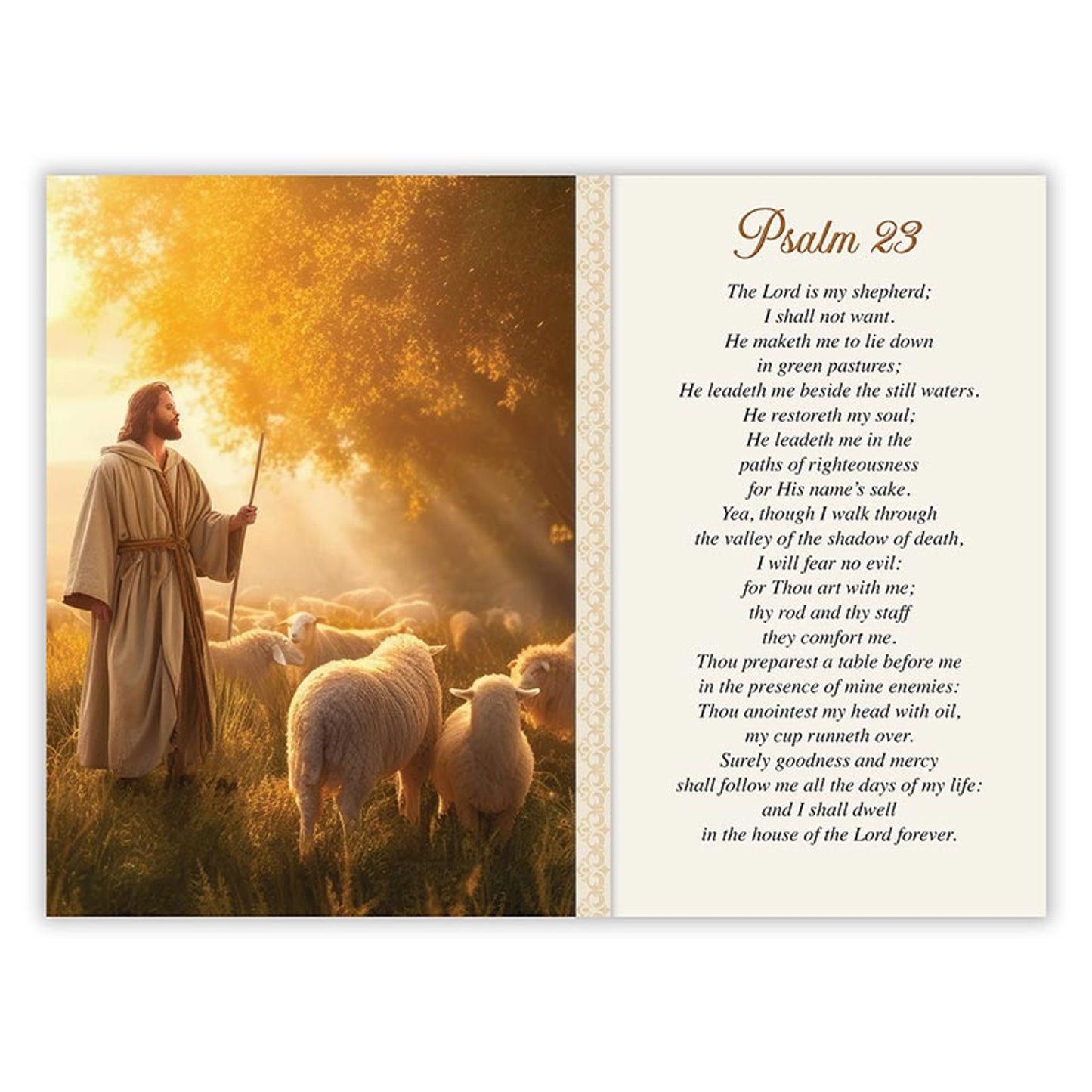 In Loving Memory - Sympathy Booklet